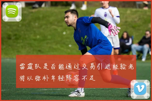 雷霆队是否能通过交易引进经验老将以弥补年轻阵容不足