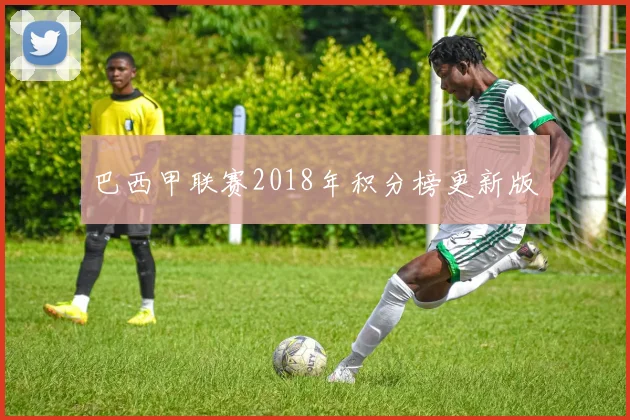 巴西甲联赛2018年积分榜更新版