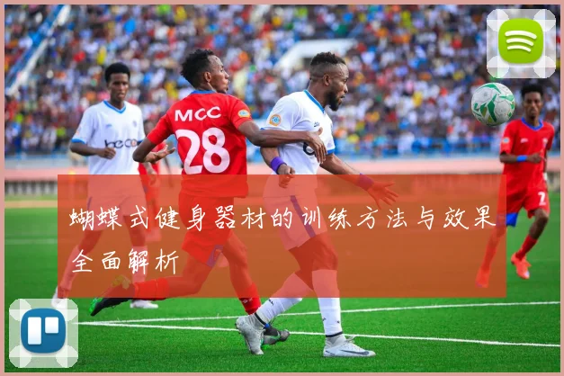 蝴蝶式健身器材的训练方法与效果全面解析