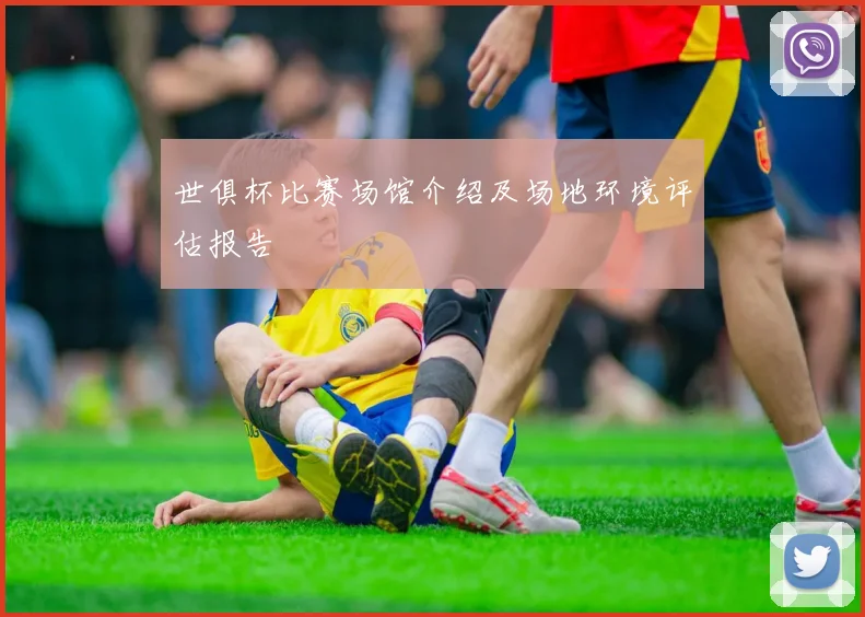 世俱杯比赛场馆介绍及场地环境评估报告