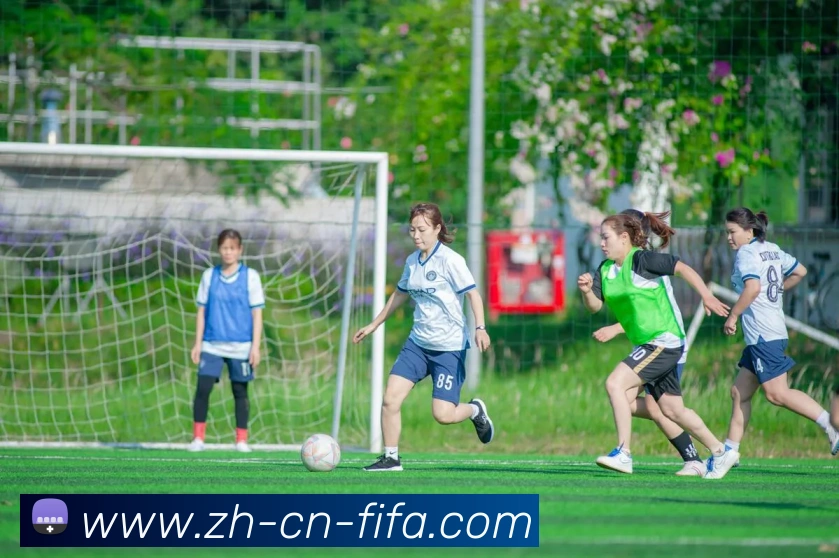 世界杯买球服务体系