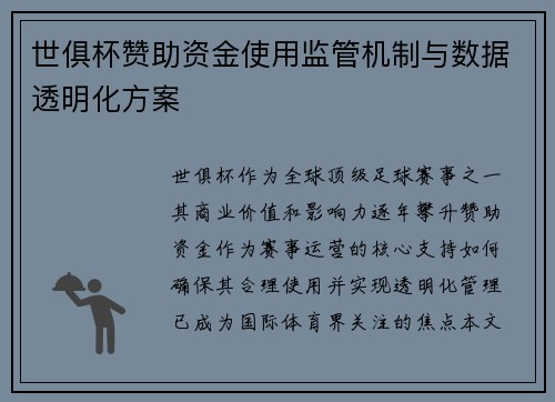世俱杯赞助资金使用监管机制与数据透明化方案